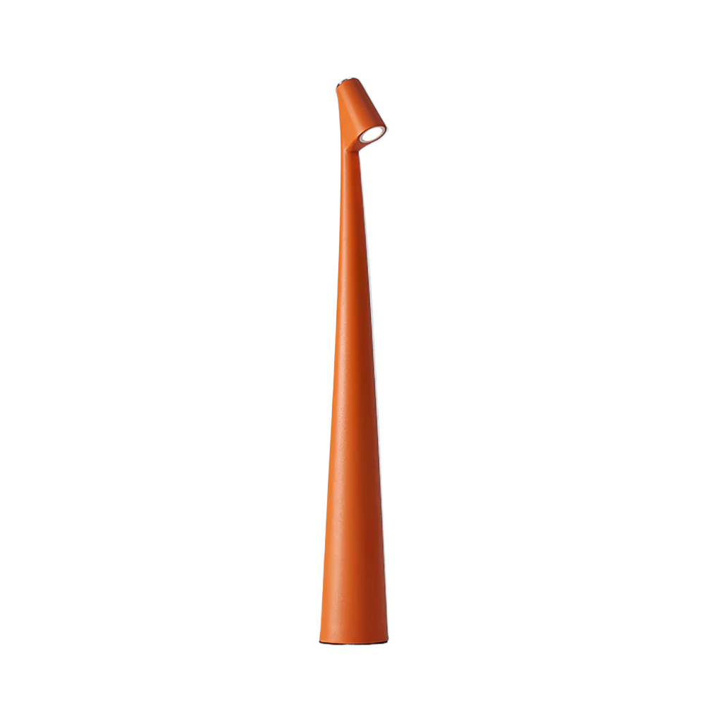 Lampe de Table avec Tête Orientable et Spot LED Directionnel