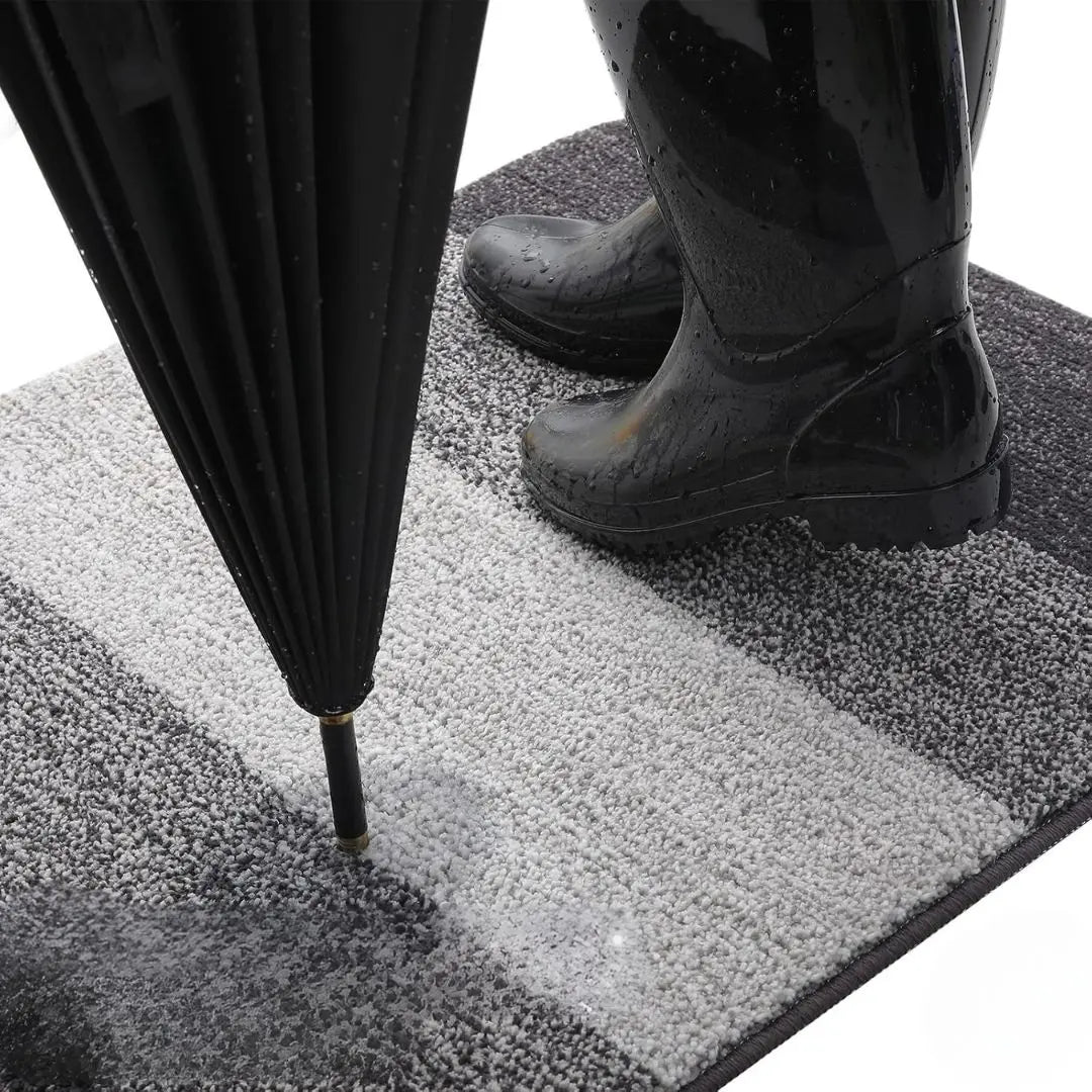 Tapis d'Entrée Antidérapant Absorbant Lavable